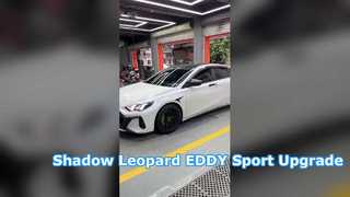 2023 Trumpchi Shadow Leopard 1.5T