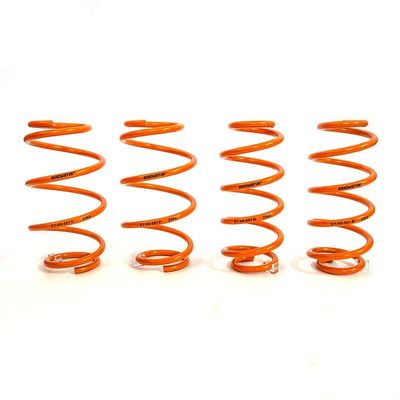 Conjunto de resortes de bajada de Honda EY-SP-HO01 anti-corrosión
