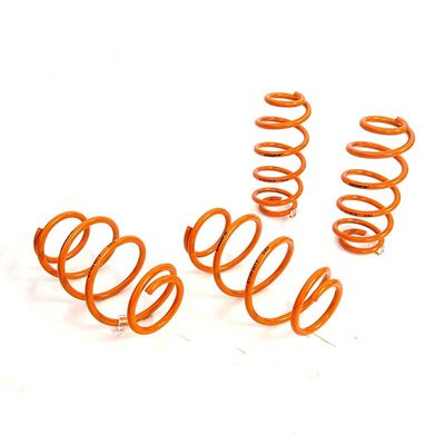 Conjunto de resortes de bajada de Honda EY-SP-HO01 anti-corrosión