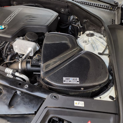 Kit de admisión de potencia de caballo de fibra de carbono para BMW 2.0T